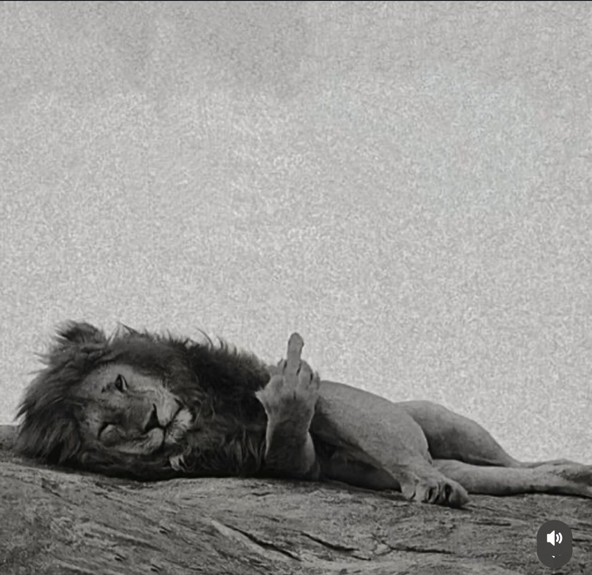 Sha (@supremenyc) on Twitter photo 