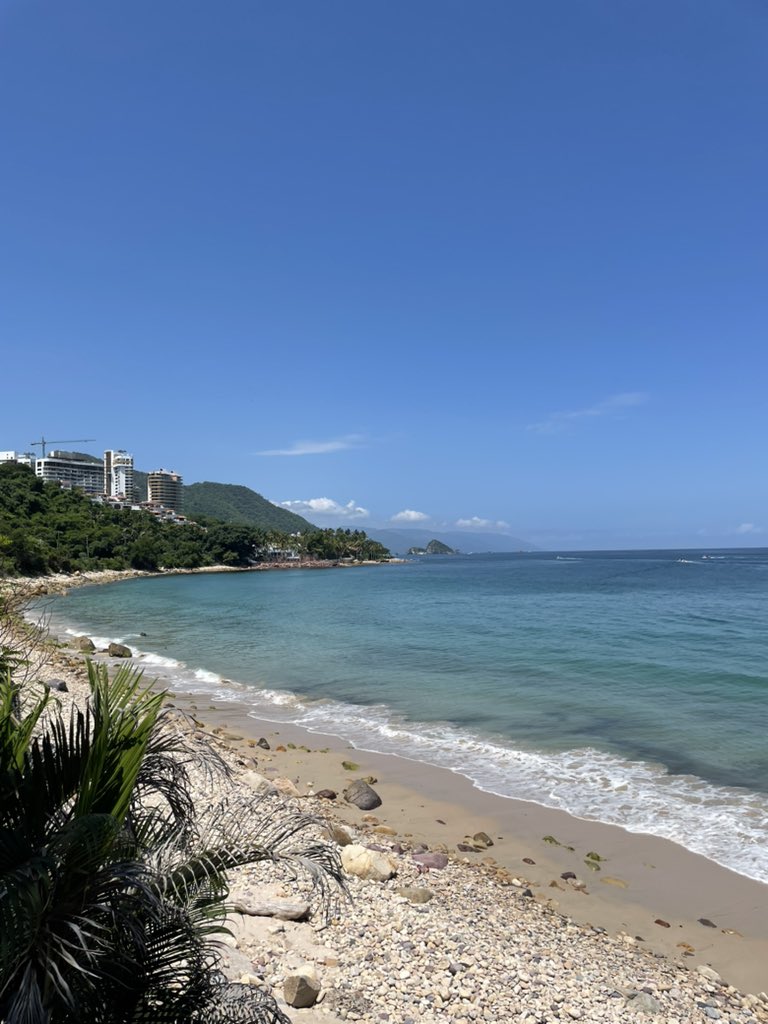 happy place 🌸🏝️☁️✨