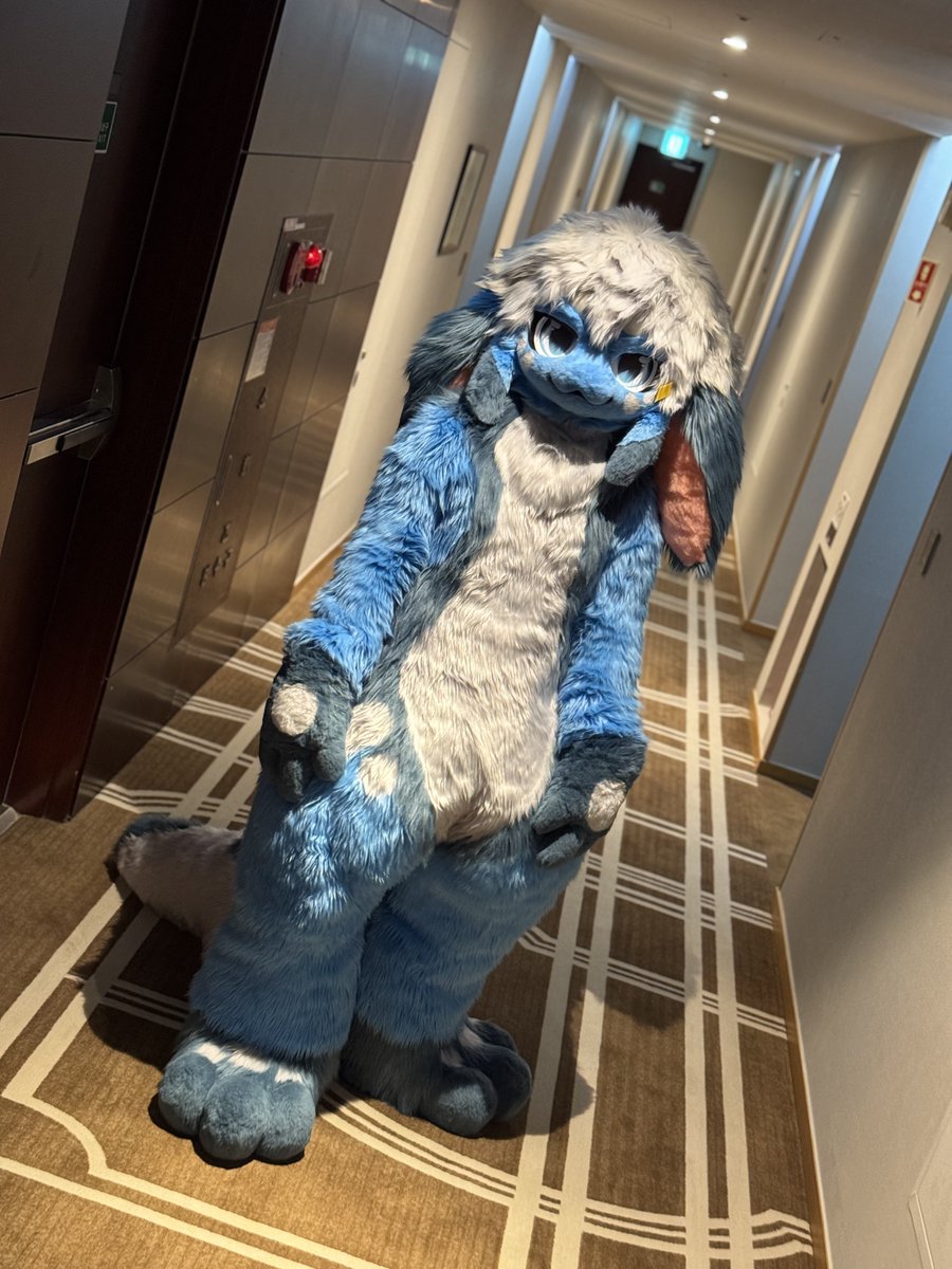 DRU9human's tweet image. #FURSTCLASS
안녕하심까!! 퍼클에서 무셔로 데뷔한 마약인간입니다.

행사 넘넘 재밌었고 여러사람들을 만나서 좋았슴다!!! 글고 피즈굿즈를 만들어주신 주머니쥐님, 피니님, 마눌만쥐님 정말감삼다!!!!!!!

아래에있는 무셔찍으신분들은 drughuman@naver.com 으로 보내주심 감사하겟습니다!!!!
.
.
.…