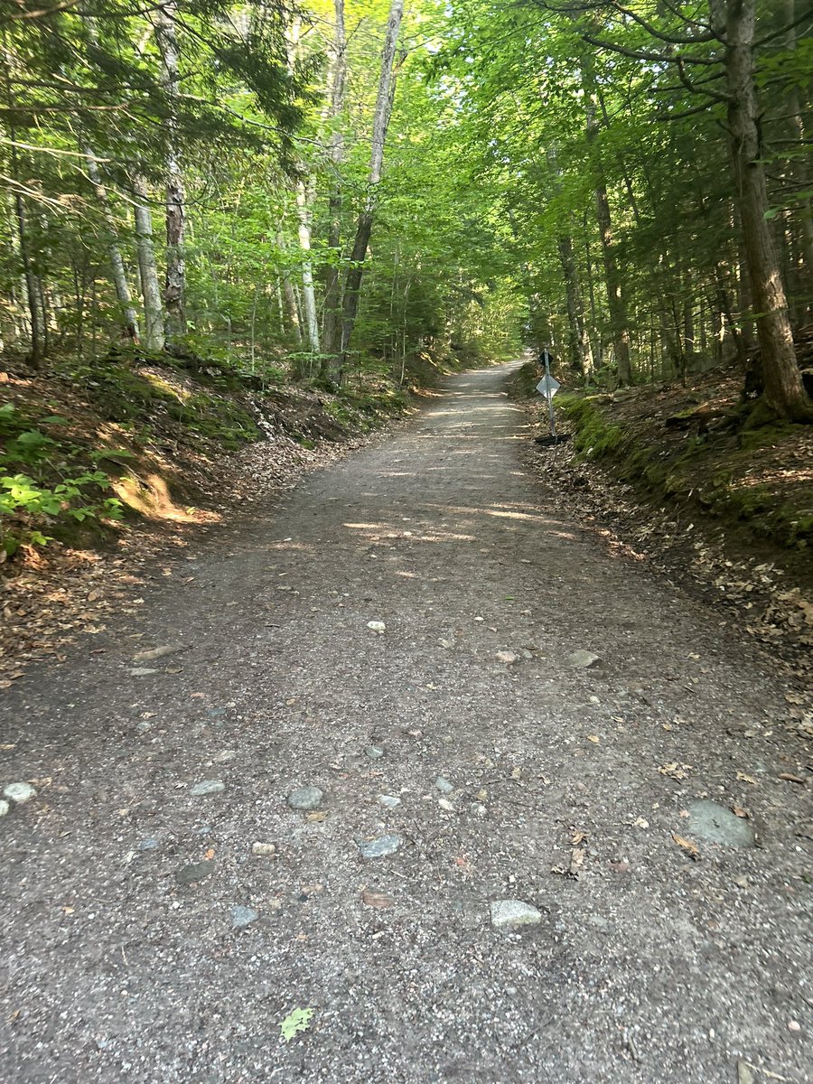 abdi_bileh's tweet image. Rando du jour : sueur et bâtons de marche! 🥾
Le parc de la Gatineau nous a bien fait suer aujourd’hui — montées, descentes… et jambes qui crient au secours ! Heureusement, j’avais ma douce moitié pour partager l’aventure 💕… et mes fidèles bâtons de marche