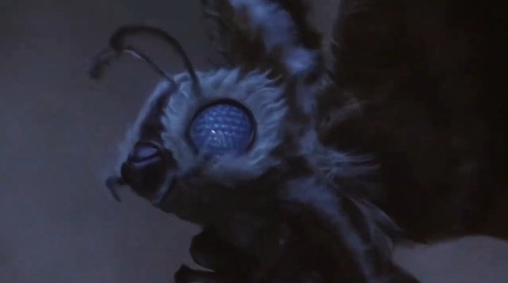 DailyMothra's tweet image. Today's Daily Mothra! 🦋
🎥 "Godzilla: Final Wars" (2004)