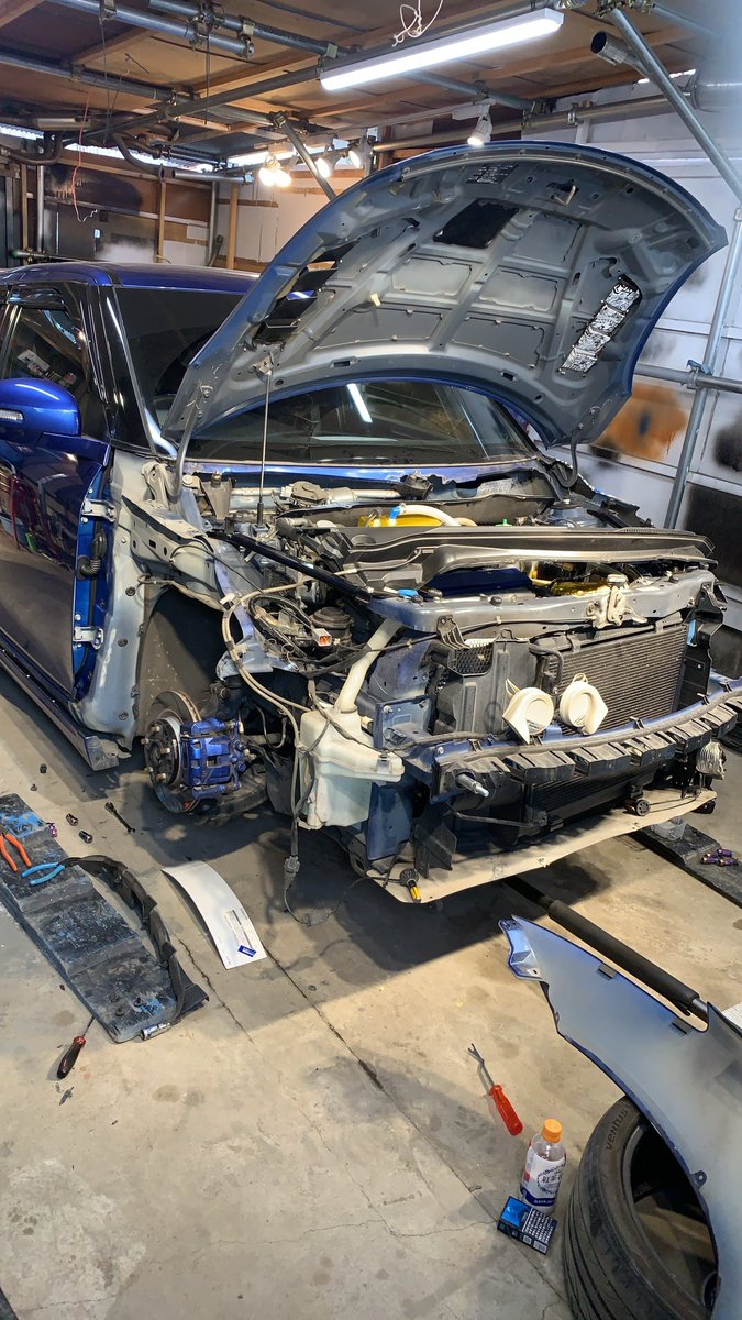 NaturalZc32's tweet image. 2022       2023
2024       2025