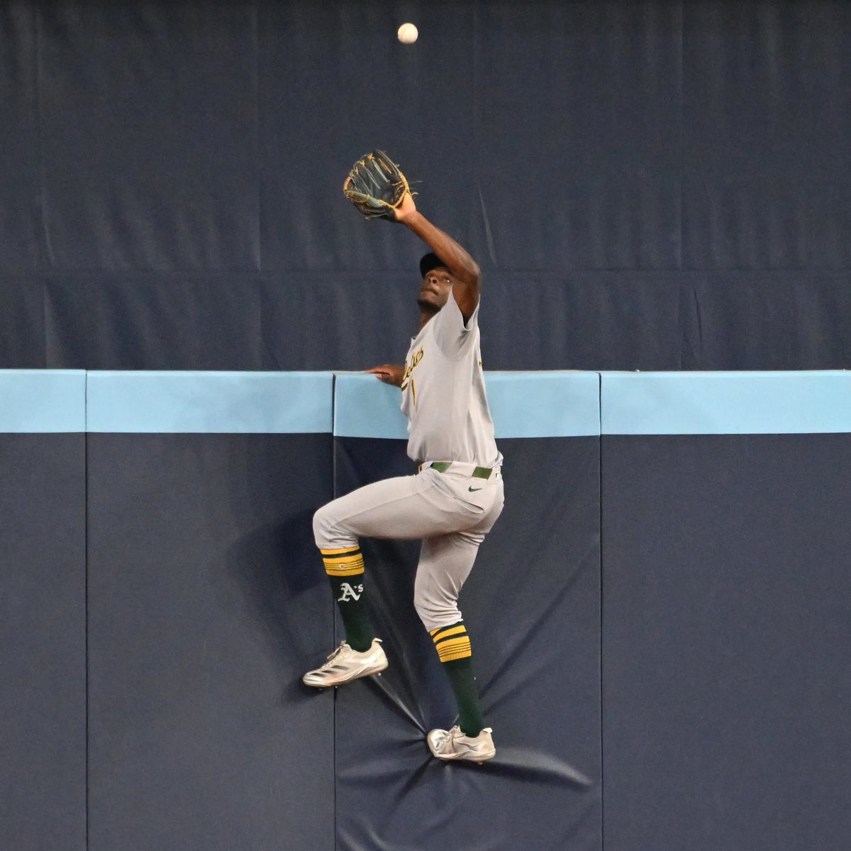 AtTheBuzzer1's tweet image. Home run derby outfield kids when Junior Caminero is up.