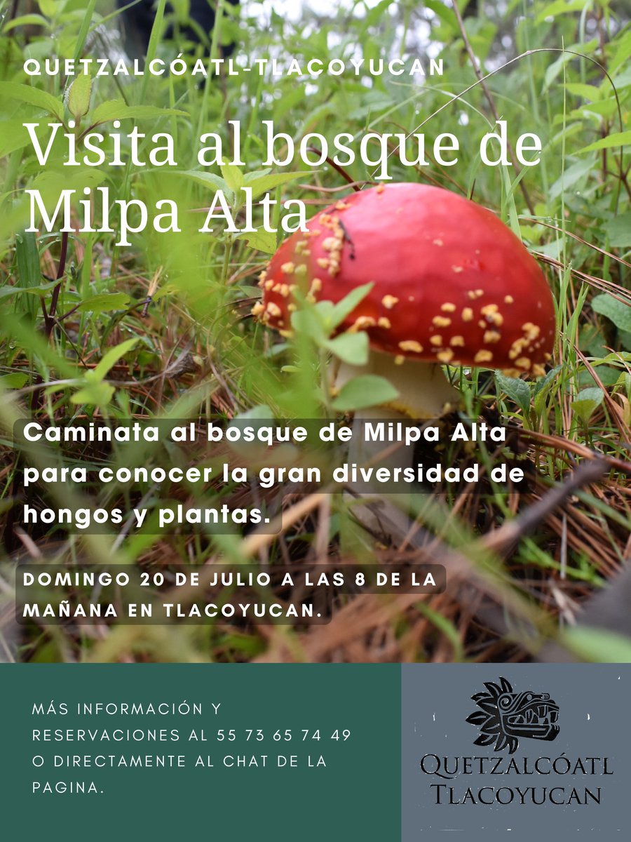 tlacoyucan's tweet photo. Es para nosotros un gusto iniciar con las caminatas para conocer la riqueza natural del bosque de Milpa Alta.
El domingo 20 de julio realizamos la primera caminata del año, esperando que nos puedan acompañar y aprender conjuntamente sobre el bosque y sus habitantes. https://t.co/GEUiXltl5Y