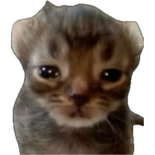 MewNotDaPokemon's tweet image. Sorry I haven’t been drawing much, I still can’t figure out what my artstyle should be and I’ve been drawing for 5 years