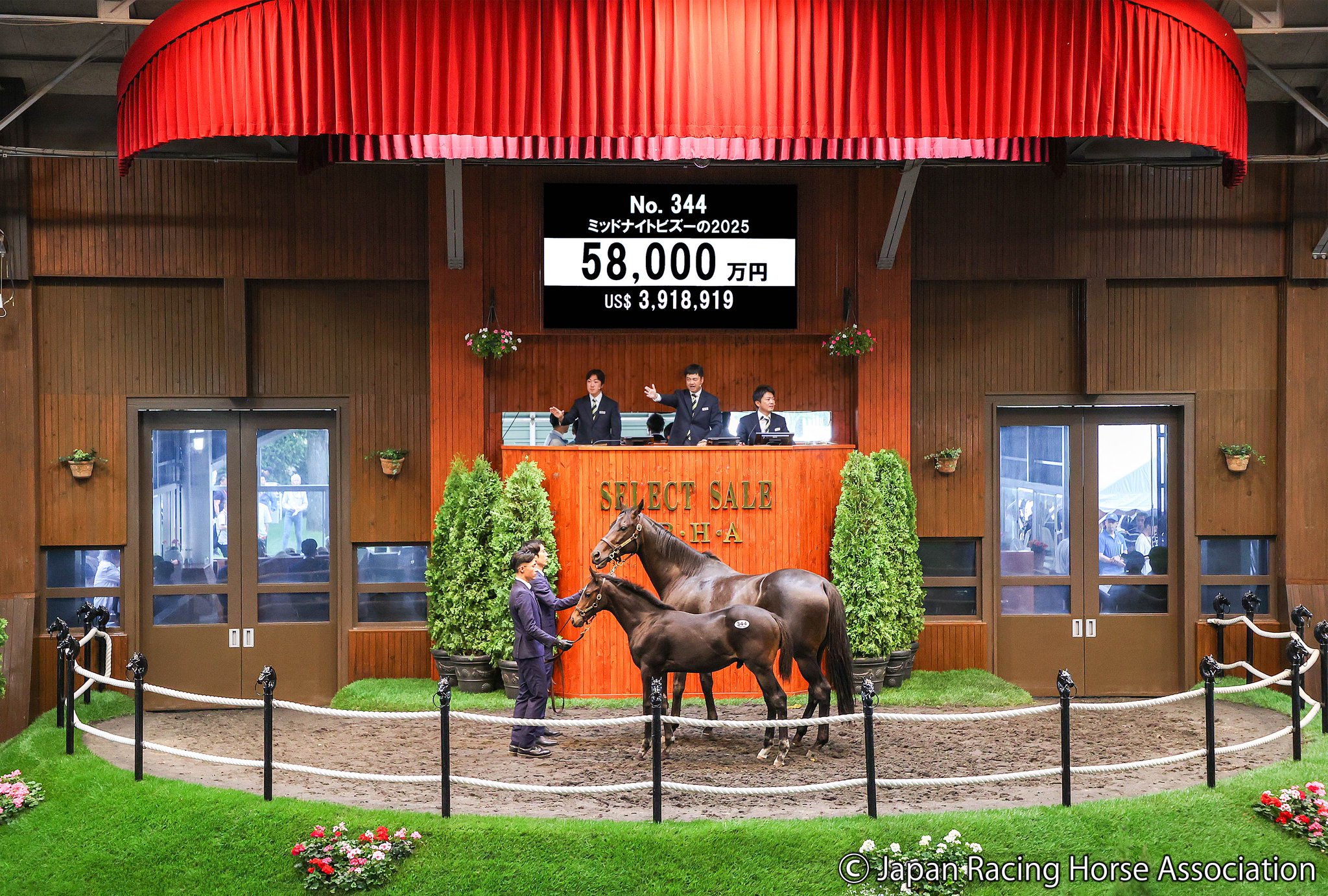 日本競走馬協会(JRHA) on X: 