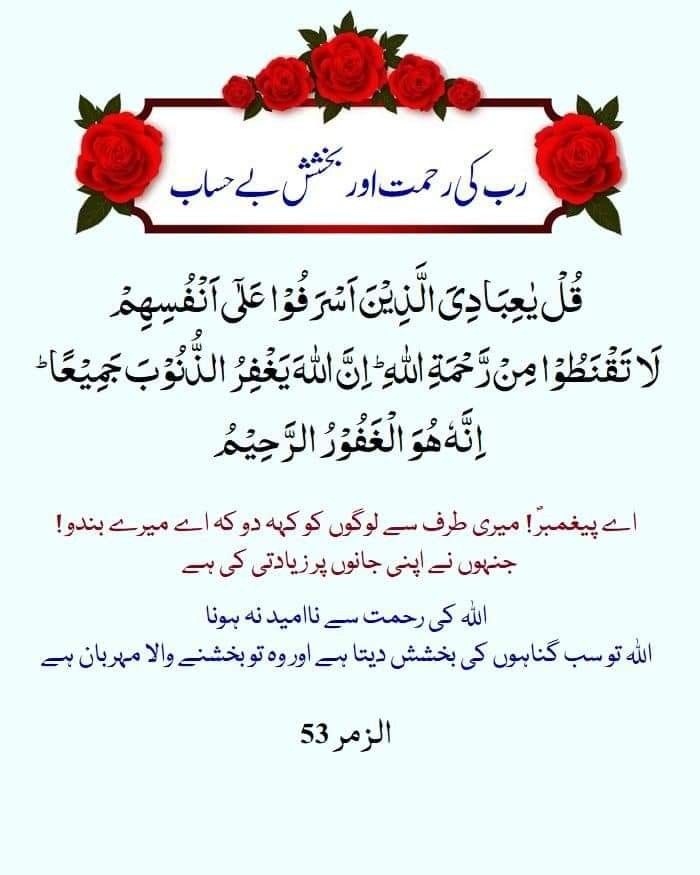 Abdul Hafeez (@hafeezbhai534) on Twitter photo #GPG ð
<a href="/Ghz97/">âªðððððððð ðŠððððâª</a> <a href="/m80mh/">Muhammad Hilal</a>
<a href="/Sc2017W/">SC2017</a> <a href="/_oztr/">Ãzleâïž ðâªïž#Nika -àœŒ ð¯ïžð¥¶</a>
<a href="/Hfz672/">Hafeezâ€ð€ð</a> <a href="/Trq88/">âïžâžðÎ±ÉŸÎ¹Ï ðÏ
ÉŸÆÎ±È¥Î±à¿</a>
<a href="/Ai092_/">ðŒð¡ð</a> <a href="/AS5_k/">Abrish Khan áµáµáµáµáµÊ·áµÊ³</a>
<a href="/glmsjd/">ðºððððð
âš</a> <a href="/IK67_/">ðµïžðµïžðµïž</a>
<a href="/zz70m/">ðžAmeer Zahirðµð°</a> <a href="/1lalh/">Muhammad Hilal</a>
<a href="/__Libra1/">ððððð ððððð</a>
<a href="/4Usmn/">ð¡ðªð·ðª ð€ðŒð¶ðªð·</a>
<a href="/anm40/">Anam Kanwal</a>
<a href="/Sd_S10/">Sadam Rajput</a>
<a href="/IK60K/">ðððððð¢ ðŸð ðððð</a>
<a href="/1Ashi5/">Aisha Hashmi</a>
<a href="/lilmne/">®Liliîš</a>
<a href="/PRx9k/">ð·ððððððð ð¹ðððâ</a>
<a href="/4mir_8/">Aamir Hayat Awan</a>
<a href="/9oshg/">ðž ÙÙØŽÛðž</a> <a href="/_i_tl/">HK</a>
<a href="/1lsura/">ððððð
ððððððð·</a> <a href="/1lra2/">Ajnabi monda</a>
<a href="/oz2au/">özleâïžîš#Nika -àœŒ ð«¶ð
±àœŒ-</a> <a href="/_1rha/">ؚاؚا Ú©Û ÙØ§ÚÙÛ</a>
<a href="/Fat9T/">Arshiað¥ð</a> <a href="/_Qpr1/">ð¬ððððꪫꀪꀚð«ððððâïž</a>
<a href="/Triq25/">‹ððªððð¢ð¢ðð ððð§ððŠâ€ž</a> <a href="/1Lvz0/">ð¿ð¶vðððð¶_ð</a>
<a href="/Hfz48/">HáŽÒáŽáŽáŽ¢áŽÊ AáŽÊáŽÊ</a> <a href="/Hfz_2/">Abdul Hafeez</a>
<a href="/Oz1au/">özleâïž -àœŒ</a> <a href="/A_2SF/">S Rahe</a>
<a href="/Ghz79/">â ðŸððð«ðððð ððððð â</a> <a href="/Ghz21/">âðð¡ðð³ðð¥ð ðððððâ</a> #GPG ð
<a href="/Ghz97/">âªðððððððð ðŠððððâª</a> <a href="/m80mh/">Muhammad Hilal</a>
<a href="/Sc2017W/">SC2017</a> <a href="/_oztr/">Ãzleâïž ðâªïž#Nika -àœŒ ð¯ïžð¥¶</a>
<a href="/Hfz672/">Hafeezâ€ð€ð</a> <a href="/Trq88/">âïžâžðÎ±ÉŸÎ¹Ï ðÏ
ÉŸÆÎ±È¥Î±à¿</a>
<a href="/Ai092_/">ðŒð¡ð</a> <a href="/AS5_k/">Abrish Khan áµáµáµáµáµÊ·áµÊ³</a>
<a href="/glmsjd/">ðºððððð
âš</a> <a href="/IK67_/">ðµïžðµïžðµïž</a>
<a href="/zz70m/">ðžAmeer Zahirðµð°</a> <a href="/1lalh/">Muhammad Hilal</a>
<a href="/__Libra1/">ððððð ððððð</a>
<a href="/4Usmn/">ð¡ðªð·ðª ð€ðŒð¶ðªð·</a>
<a href="/anm40/">Anam Kanwal</a>
<a href="/Sd_S10/">Sadam Rajput</a>
<a href="/IK60K/">ðððððð¢ ðŸð ðððð</a>
<a href="/1Ashi5/">Aisha Hashmi</a>
<a href="/lilmne/">®Liliîš</a>
<a href="/PRx9k/">ð·ððððððð ð¹ðððâ</a>
<a href="/4mir_8/">Aamir Hayat Awan</a>
<a href="/9oshg/">ðž ÙÙØŽÛðž</a> <a href="/_i_tl/">HK</a>
<a href="/1lsura/">ððððð
ððððððð·</a> <a href="/1lra2/">Ajnabi monda</a>
<a href="/oz2au/">özleâïžîš#Nika -àœŒ ð«¶ð
±àœŒ-</a> <a href="/_1rha/">ؚاؚا Ú©Û ÙØ§ÚÙÛ</a>
<a href="/Fat9T/">Arshiað¥ð</a> <a href="/_Qpr1/">ð¬ððððꪫꀪꀚð«ððððâïž</a>
<a href="/Triq25/">‹ððªððð¢ð¢ðð ððð§ððŠâ€ž</a> <a href="/1Lvz0/">ð¿ð¶vðððð¶_ð</a>
<a href="/Hfz48/">HáŽÒáŽáŽáŽ¢áŽÊ AáŽÊáŽÊ</a> <a href="/Hfz_2/">Abdul Hafeez</a>
<a href="/Oz1au/">özleâïž -àœŒ</a> <a href="/A_2SF/">S Rahe</a>
<a href="/Ghz79/">â ðŸððð«ðððð ððððð â</a> <a href="/Ghz21/">âðð¡ðð³ðð¥ð ðððððâ</a>