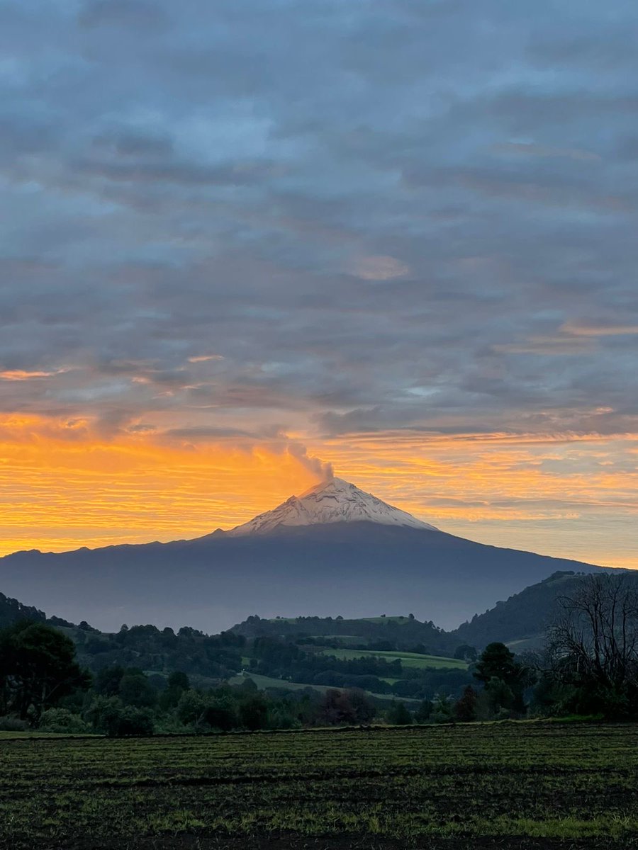 Natsukashii
(Japonés)
Significa "nostalgia feliz". Es el instante en el que la memoria de repente se transporta a un bello recuerdo que te llena de dulzura. Créditos ⁦<a href="/elQuiquis/">ʕ·͡ˑ·ཻʔ Sir Plaisir</a>⁩