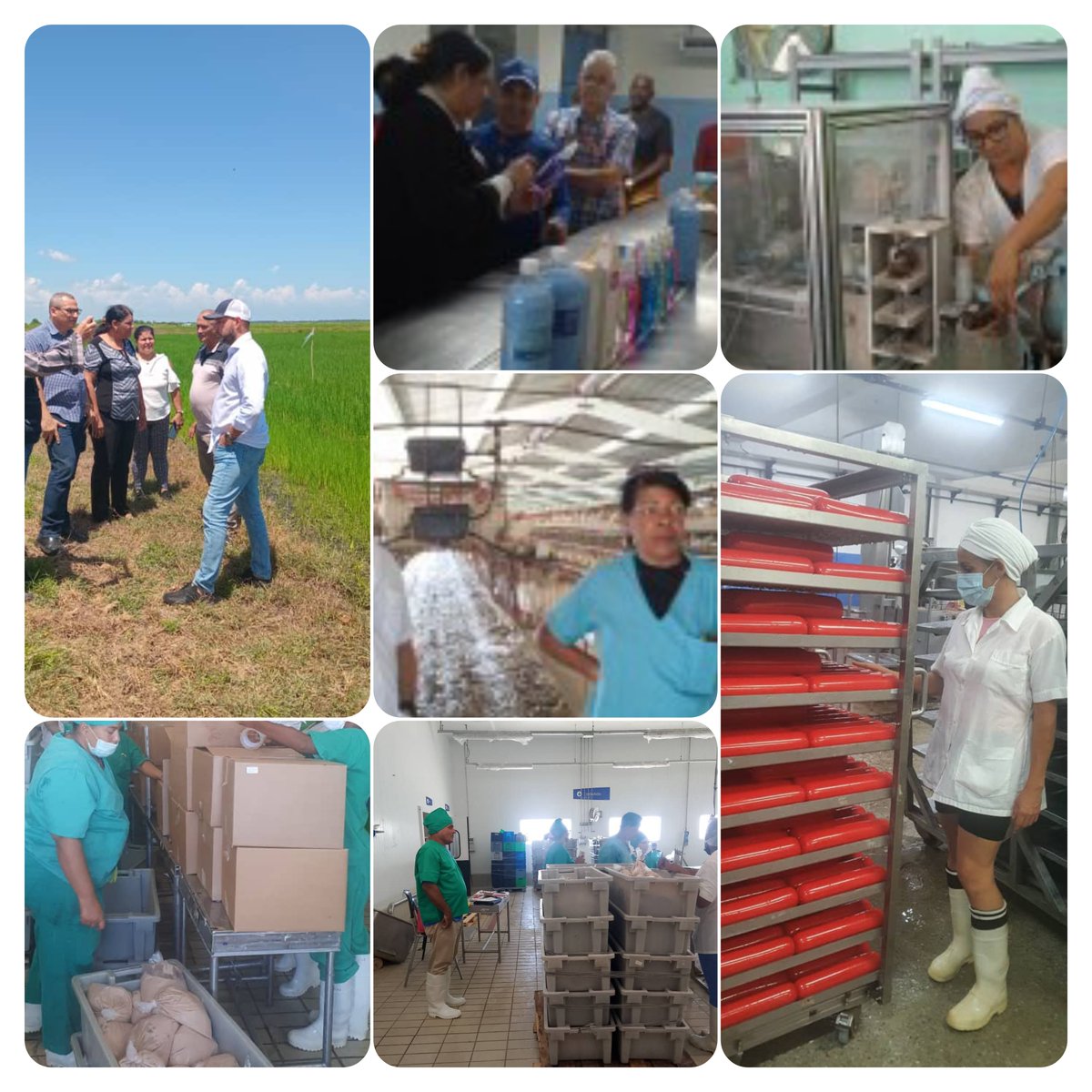 Los encadenamientos productivos entre actores económicos estatales y no estatales, constituyen una oportunidad para incrementar producciones  y sustituir importaciones. Ejemplos de estos vínculos destacan en el <a href="/minalcuba/">Ministerio de la Industria Alimentaria de Cuba</a> ,<a href="/MinagCuba/">Ministerio de la Agricultura de Cuba</a>  y <a href="/MindusIndustria/">Ministerio de Industrias de Cuba</a> 
#EconomíaConTodos