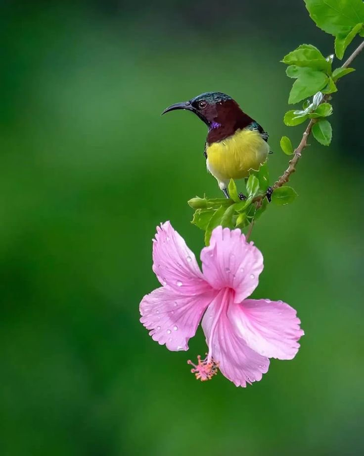 ðâïžððsÊáŽÊᎢáŽáŽ
áŽáŽÉŽÉªÊðâïžðâïž (@shz787) on Twitter photo #P_PTi â¥ïž <a href="/Y22NY/">YASEEN</a>
<a href="/NM1k_/">àŒº ðððµð¬ð¬ðµðšð¯ðð àŒ»</a> <a href="/MNPTi1/">ð ðð»ðð¶ð³ðïžââ Ø§ØšÙسÙÙ
ââð¶</a>
<a href="/P_PTi3/">ð_ððð¢ _ð ðððððððð</a> <a href="/As_t40/">ð ðððððð«</a>
<a href="/S2_CarlaS2/">ê§àŒºCarlaàŒ»ê§#EliFriendsââ
âŒâ</a>
<a href="/_MaryEly_/">ð ðá MaryElyð»</a>
<a href="/IAIJ_/">Genghis Khan</a>
<a href="/IAIT_/">Talat Iqbal</a>
<a href="/IAIJ1_/">Javed Iqbal</a>
<a href="/Hfz_2/">Abdul Hafeez</a>
<a href="/skiii7i/">S khan</a>
<a href="/553ik/">ðº*ðð à³â¢ðà³ððð.⢠'*ðº.à³</a>
<a href="/sehr_ik/">Ø³ØØ± Ù
ÙÚ© ðŠðŠ</a>
<a href="/B_Ali11/">â¯ððð ðððð ðððððð¢ðâ¯ðµð°ðºðž âïžðŠ</a>
<a href="/ZK__32/">Zumar Khan</a>
<a href="/TipuS1_/">Tipu Sultan ᎟áµáµáŽŸáµÊ·áµÊ³</a>
<a href="/Da__Eliz/">Eliðž</a>
<a href="/shZ447/">ððððð«ðð ððŠððð£</a>
<a href="/Ar__Kh1/">Ù
عصÙÙ
ÛÙ ð€ð</a>
<a href="/Sprxzy2/">Umar PTI</a>
<a href="/zimal293/">ðŠðáŽsÊɪáŽ
áŽÊðŠ</a>
<a href="/00munsif/">Ø§ØšÙØ³ÙÙ
ðð®ð§ð¬ð¢ð ðð¥ð¢</a>
<a href="/zubm9231/">ZUBAIR Muhammad</a>
<a href="/sakhanali2/">ØŽØ±Ø§Ø±ØªÛ ÙÚکا</a>
<a href="/CarloSportfan/">SportISmyLIFE âœâŸððððŸð³ððâ³</a>
<a href="/yasirkhan7845/">Yasir Khan</a>
<a href="/KamranA17555180/">ISF Sindh Official ð§ð«</a> #P_PTi â¥ïž <a href="/Y22NY/">YASEEN</a>
<a href="/NM1k_/">àŒº ðððµð¬ð¬ðµðšð¯ðð àŒ»</a> <a href="/MNPTi1/">ð ðð»ðð¶ð³ðïžââ Ø§ØšÙسÙÙ
ââð¶</a>
<a href="/P_PTi3/">ð_ððð¢ _ð ðððððððð</a> <a href="/As_t40/">ð ðððððð«</a>
<a href="/S2_CarlaS2/">ê§àŒºCarlaàŒ»ê§#EliFriendsââ
âŒâ</a>
<a href="/_MaryEly_/">ð ðá MaryElyð»</a>
<a href="/IAIJ_/">Genghis Khan</a>
<a href="/IAIT_/">Talat Iqbal</a>
<a href="/IAIJ1_/">Javed Iqbal</a>
<a href="/Hfz_2/">Abdul Hafeez</a>
<a href="/skiii7i/">S khan</a>
<a href="/553ik/">ðº*ðð à³â¢ðà³ððð.⢠'*ðº.à³</a>
<a href="/sehr_ik/">Ø³ØØ± Ù
ÙÚ© ðŠðŠ</a>
<a href="/B_Ali11/">â¯ððð ðððð ðððððð¢ðâ¯ðµð°ðºðž âïžðŠ</a>
<a href="/ZK__32/">Zumar Khan</a>
<a href="/TipuS1_/">Tipu Sultan ᎟áµáµáŽŸáµÊ·áµÊ³</a>
<a href="/Da__Eliz/">Eliðž</a>
<a href="/shZ447/">ððððð«ðð ððŠððð£</a>
<a href="/Ar__Kh1/">Ù
عصÙÙ
ÛÙ ð€ð</a>
<a href="/Sprxzy2/">Umar PTI</a>
<a href="/zimal293/">ðŠðáŽsÊɪáŽ
áŽÊðŠ</a>
<a href="/00munsif/">Ø§ØšÙØ³ÙÙ
ðð®ð§ð¬ð¢ð ðð¥ð¢</a>
<a href="/zubm9231/">ZUBAIR Muhammad</a>
<a href="/sakhanali2/">ØŽØ±Ø§Ø±ØªÛ ÙÚکا</a>
<a href="/CarloSportfan/">SportISmyLIFE âœâŸððððŸð³ððâ³</a>
<a href="/yasirkhan7845/">Yasir Khan</a>
<a href="/KamranA17555180/">ISF Sindh Official ð§ð«</a>