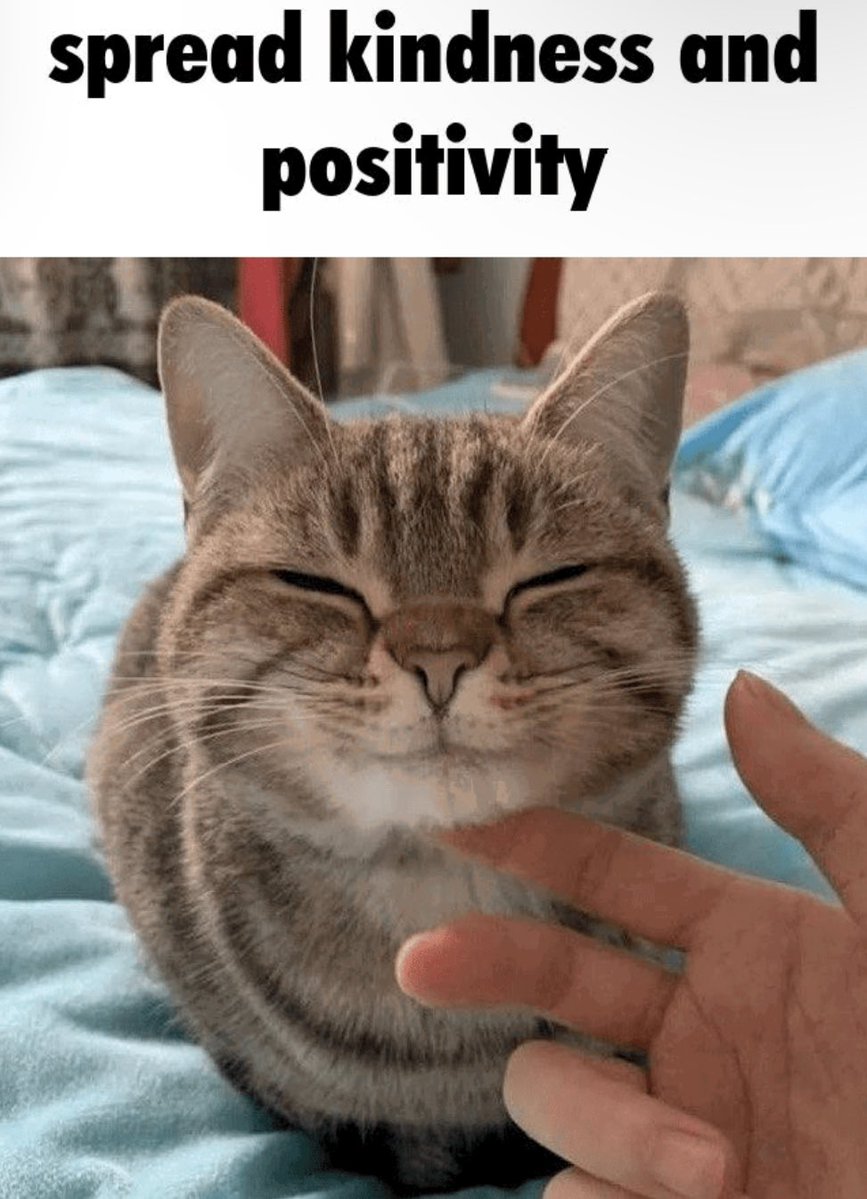 goodnight everyone