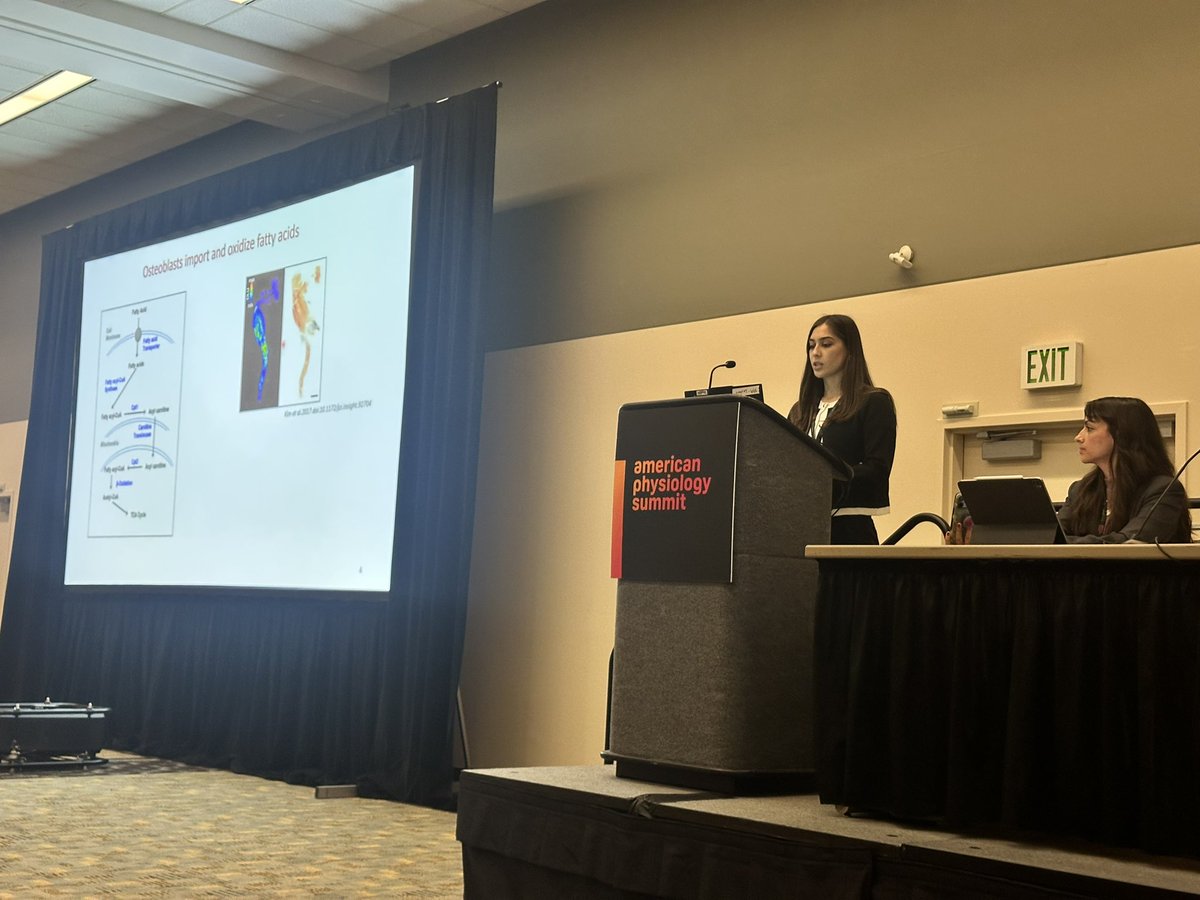 Gillian Choquette (Dea) tweet media