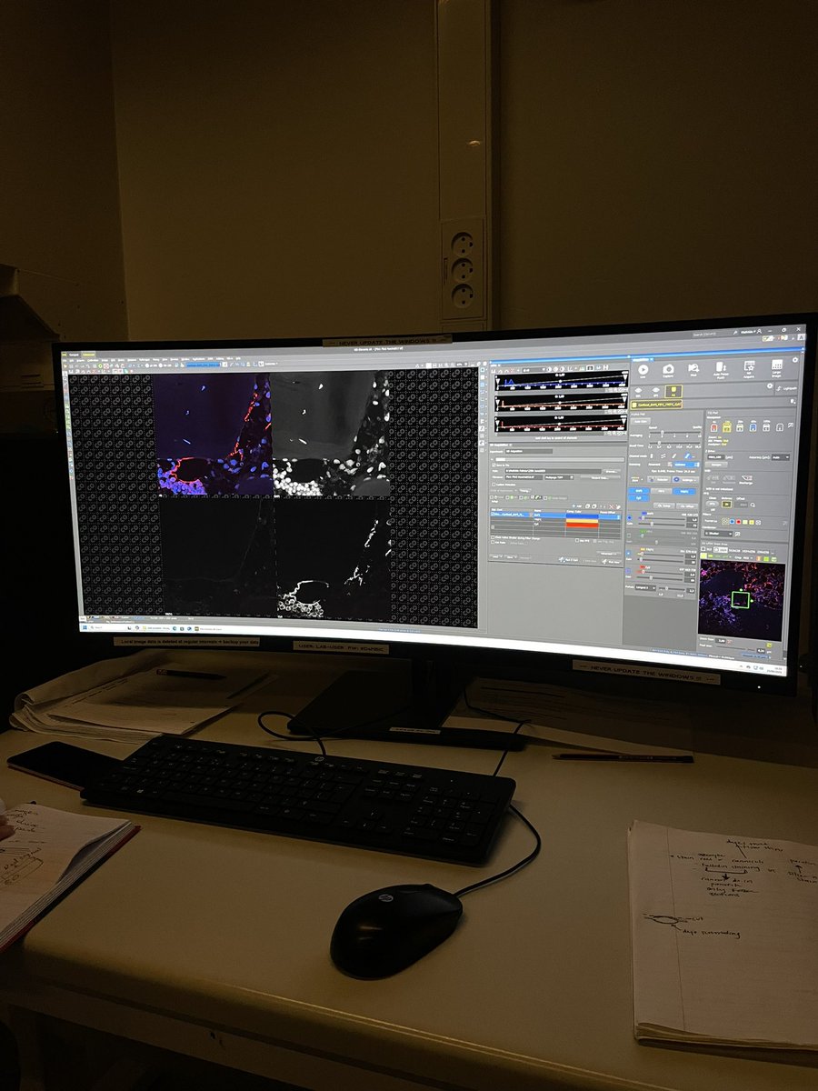 Gillian Choquette (Dea) tweet media