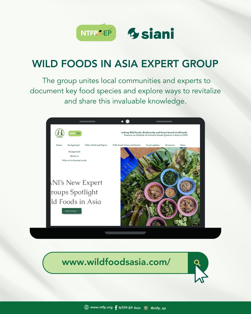 #ICYMI | Wild Foods in Asia 

This expert group champions the role of wild forest foods and traditional crops in ensuring food security. 

🔗 Learn more: wildfoodsasia.com

#LinkingPeoplesandForests
#WildFoodsinAsia #SIANI