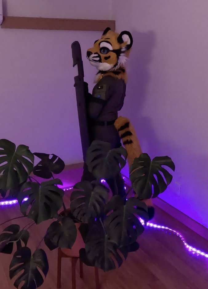 Ares_Tiger (Kah'vo) tweet media