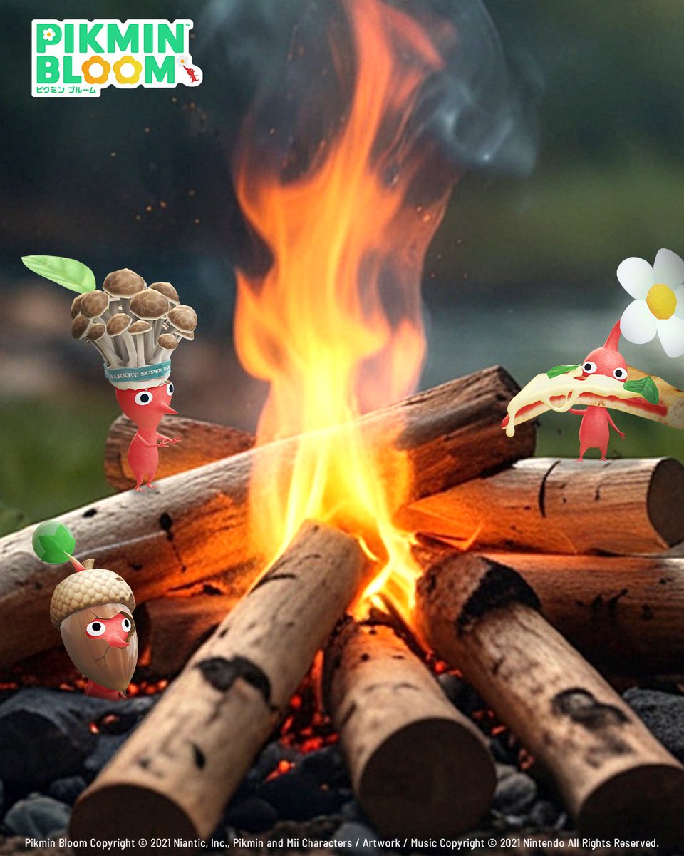PikminBloom_jp's tweet image. \火に強い赤ピクミン🔥/
赤ピクミンたちは
キャンプファイヤーの近くでも
へっちゃらのようです🤭
みなさんはこの夏
どんな予定がありますか?🏕️
ぜひコメントで教えてください✨
