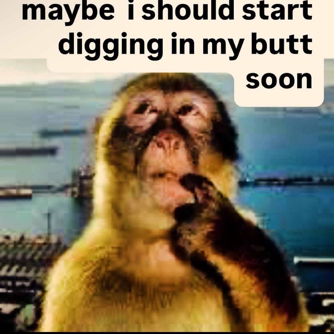 <a href="/shuletah/">Shuletah</a>