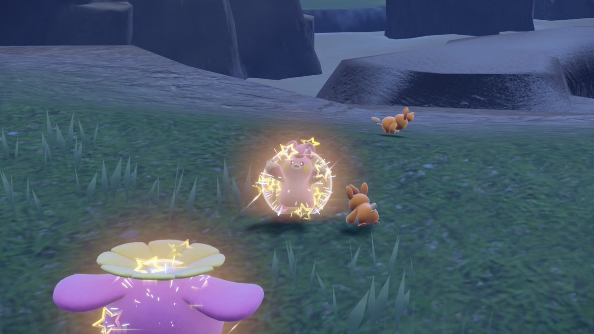 JonJayDubya1's tweet image. THIRD DTQ MEMBER PAWMO!!!