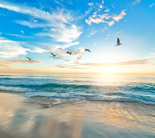.
أصبحنا بخيرك الدائم، ولطفك الخفي،
وبك نظن الظن الجميل، فتولنا يا الله..
🍃