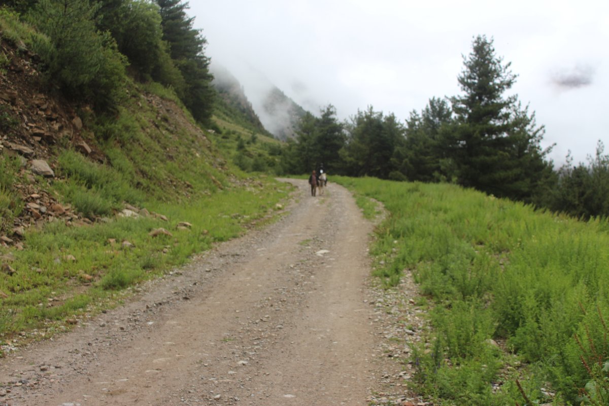 AtitBhardwaj's tweet image. KAILASH MANSAROVER YATRA - GUNJI BASE CAMP #KMY