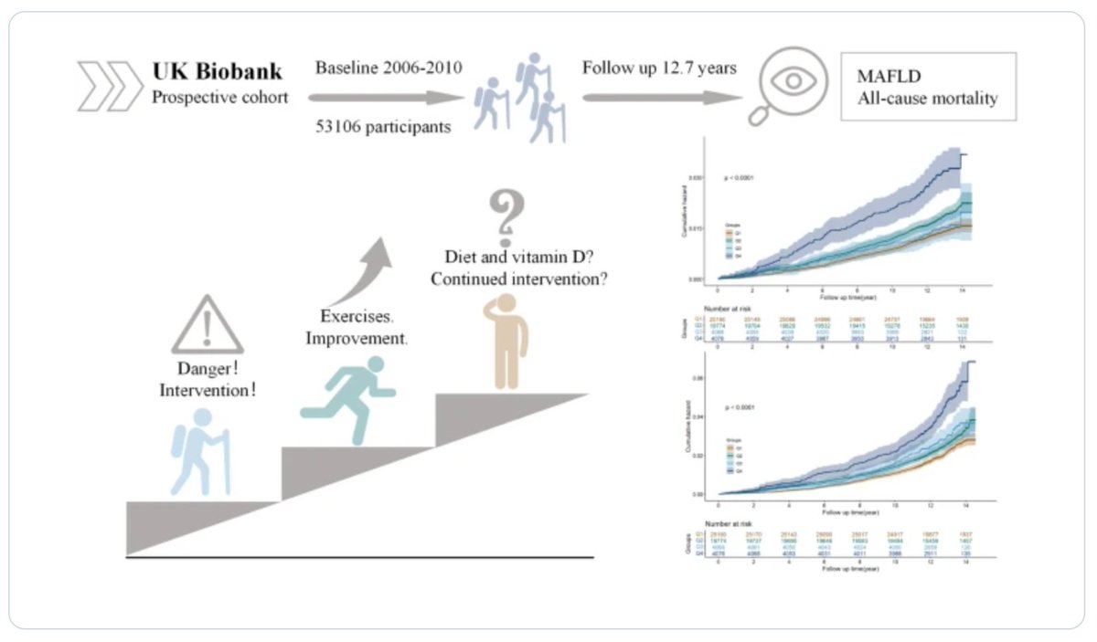 GeroScienceAGE's tweet photo. ❗Fresh OA🔓 Publication

Combined effects of vitamin D and cumulative dietary risk score on fatty liver and mortality in vulnerable individuals: a prospective analysis from the UK Biobank by Xiaoyan Wang & Mengchen Zou et al.

https://t.co/xMzTqbJBYY

#AllCauseMortality #Cumulativedietaryrisk #frailtyphenotype #metabolicallyassociatedfattyliverdisease #VitaminD