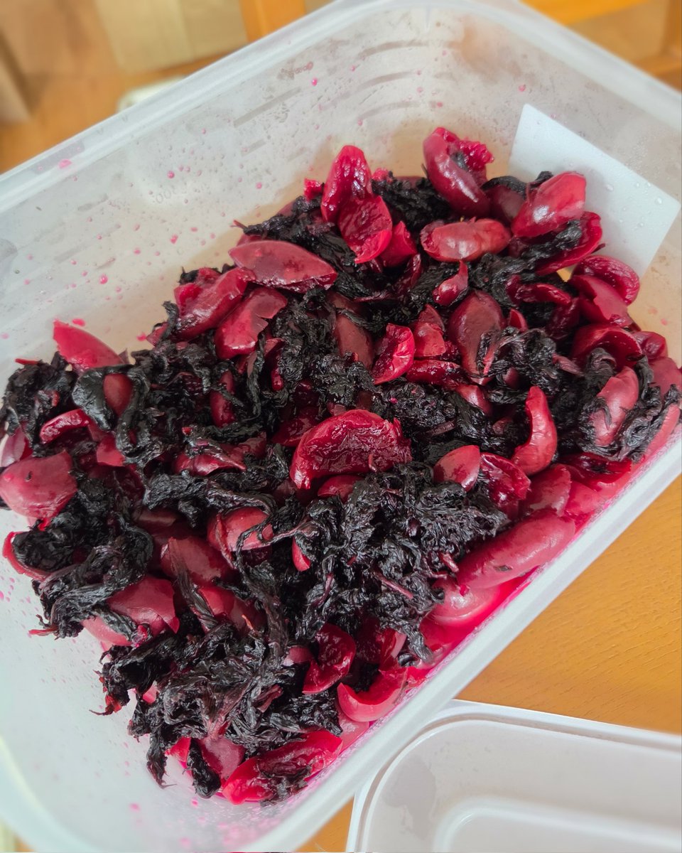 カリカリ梅2kg完成。
梅も赤紫蘇も我が家で採れたもの。
父のお手製です。最高の贅沢。
#梅仕事