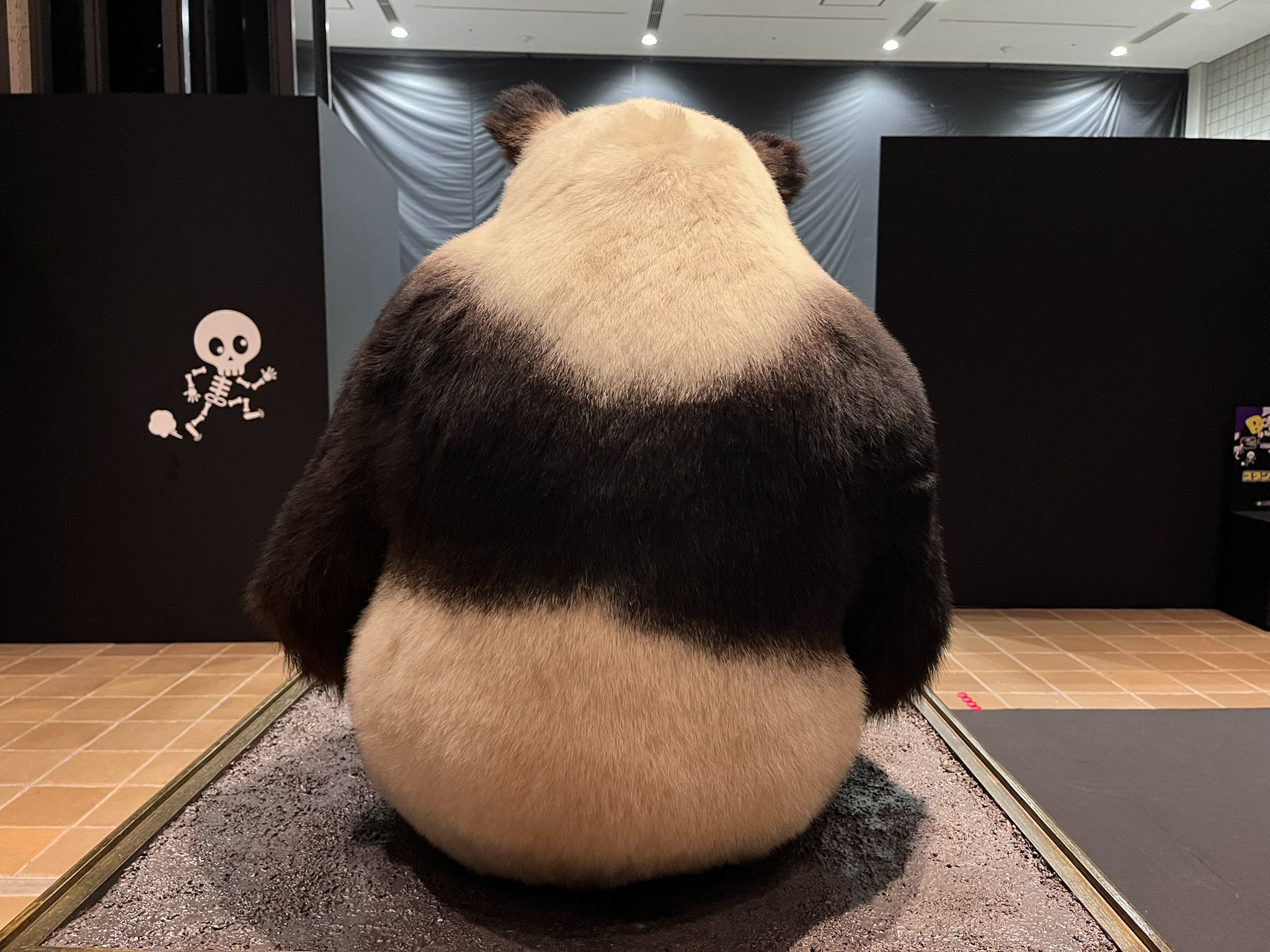 パンダ 北九州市立いのちのたび博物館 on X: 