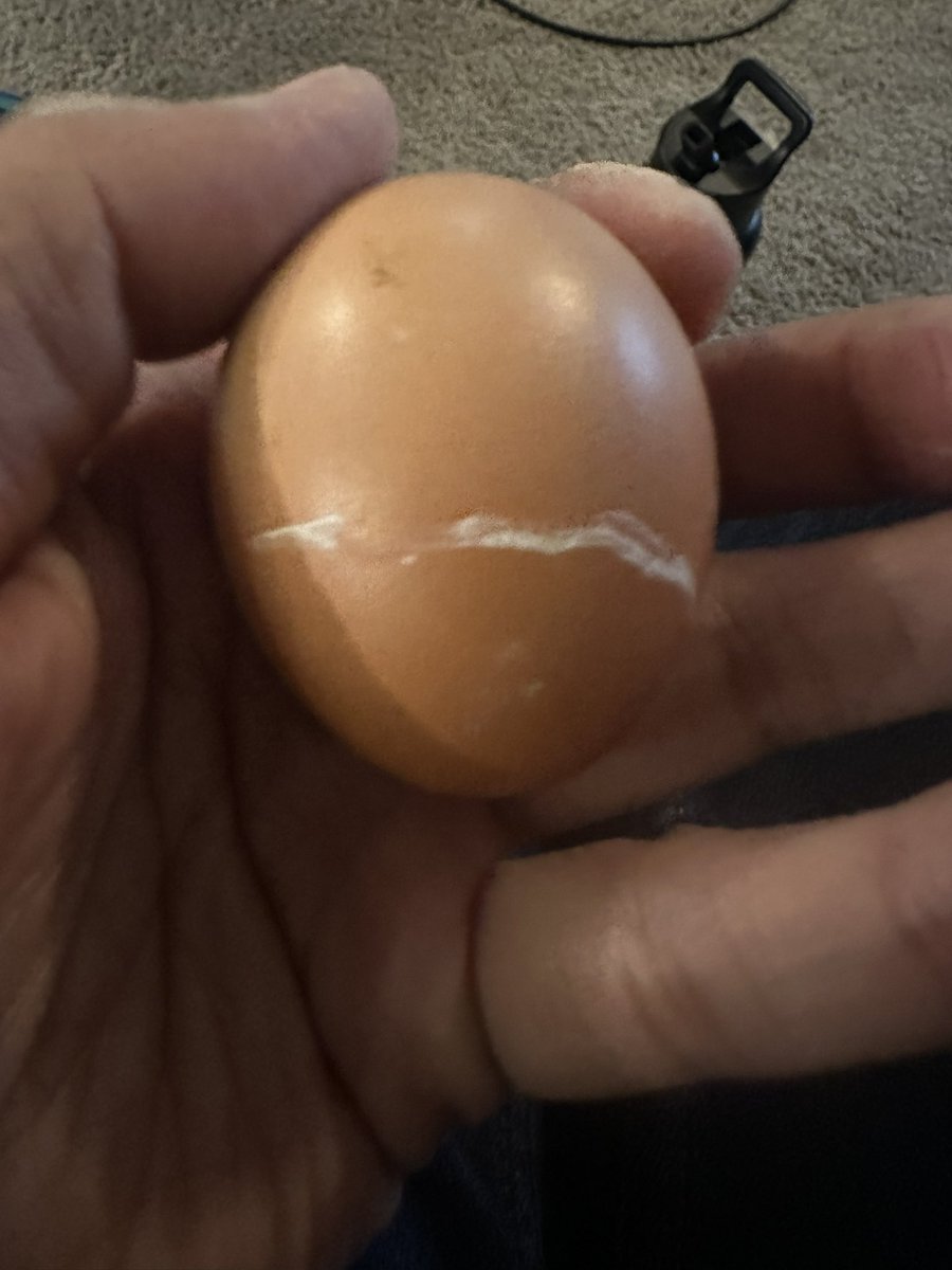 codegirl007 tweet media