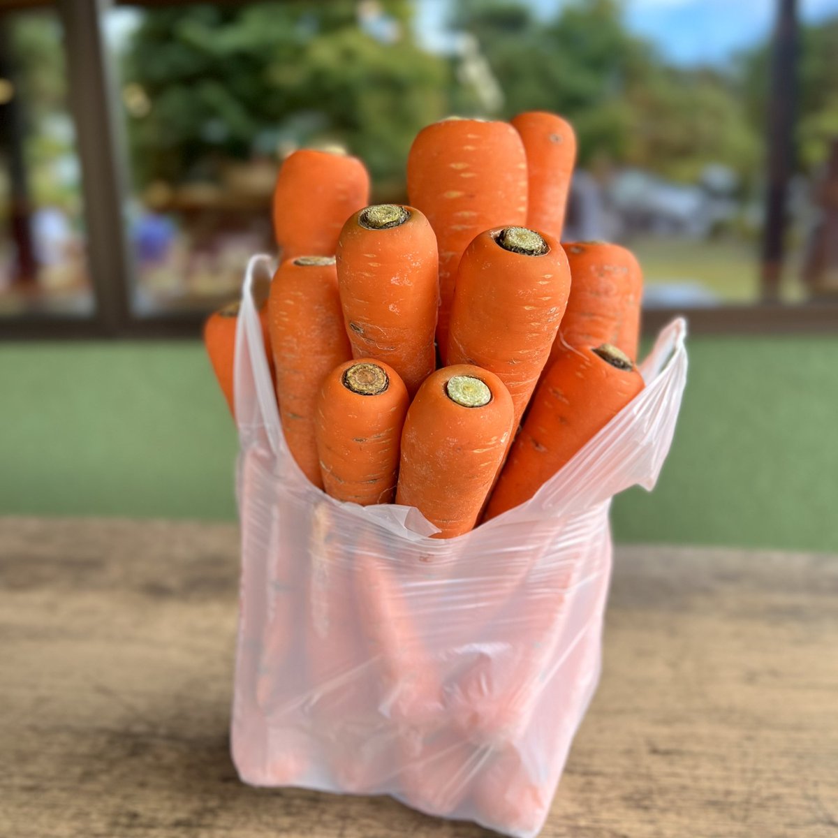 Miyuyu_117117's tweet image. トウモロコシ狩りに行ってきた🌽
収穫のパキッが気持ちいい ̖́-
じゃがいもとにんじんの詰め放題にも
挑戦🥔🥕限界まで詰め込みましたᐝ
初めての体験とっても楽しかった!!
#とうもろこし狩り #野菜詰め放題