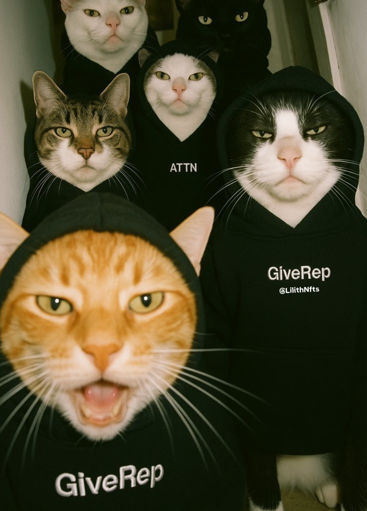 abdul_sha82040's tweet photo. I'm earning REP every minute.🕓

@GiveRep 

Interact with me and earn too.

Let's earn together.
1 Like = 1 $Rep
1 Comment = 1 $Rep
1 Rt = 1 $Rep
@TypusFinance@#💥💥💥💥gm https://t.co/jcxiuaXZYj