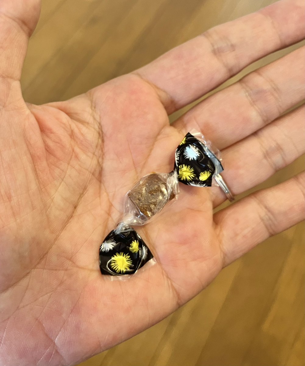 スニーカーの中からウニのおつまみが出てきた
おそらく台所から玄関までドリブルされた後に格納されたんだと思う