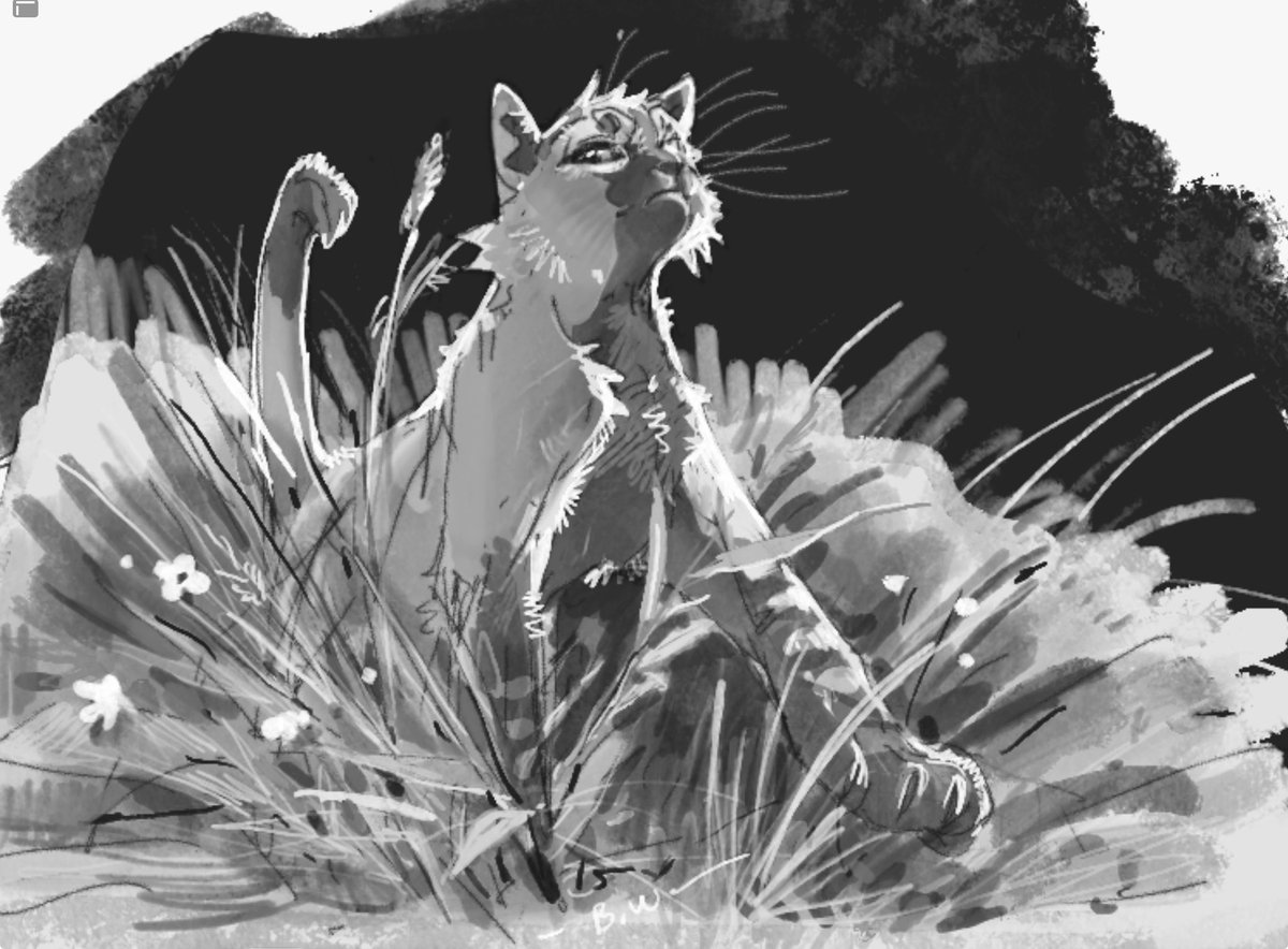 Wingyiluo's tweet image. 7u
#warriorcats