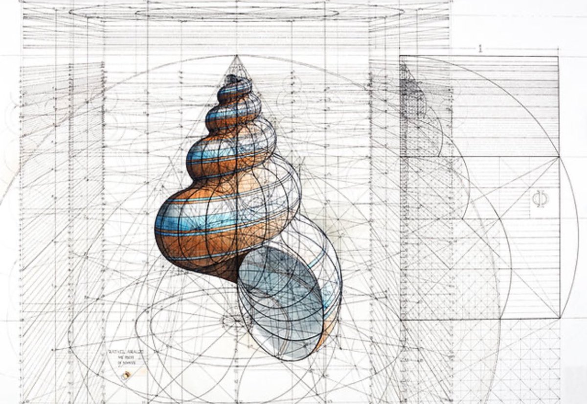 Peter Hamilton tweet media