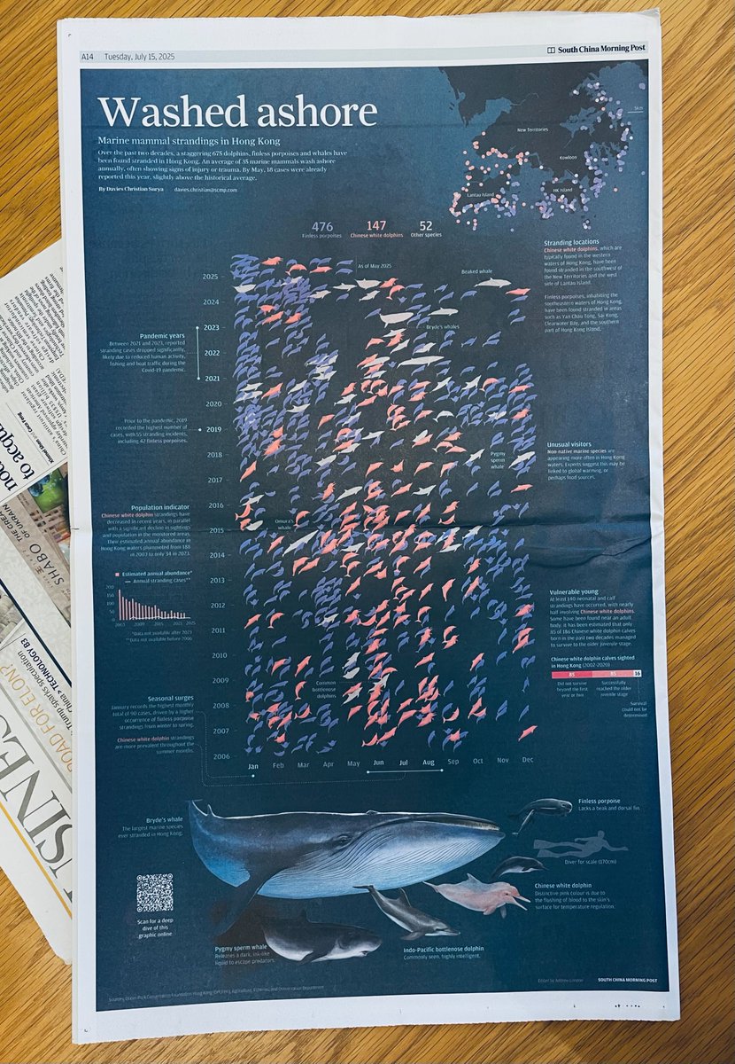 SCMPgraphics's tweet image. Grab your SCMP copy today and enjoy this magnificent page showing the Marine mammals stranded on HK shores, done by @dapihes