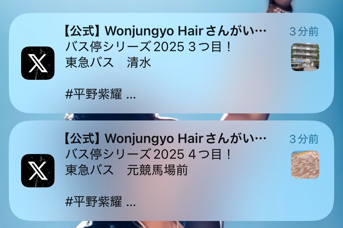 【お客様専用ページ】にゃー様　9/3までお取り置き可能 カヤ ☪︎⋆☽様お取り置き 1⁄14まで 鳥 レジンヘアゴム 桜 和色