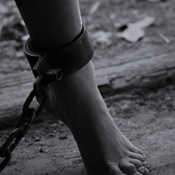 "... in the end we are like small children, orphaned, because we cannot return to our dead mother, to the beginning, to the nothingness that was before the beginning..."

Read with Sifa 🌹

sifaremmy.wordpress.com/2025/07/13/wom…