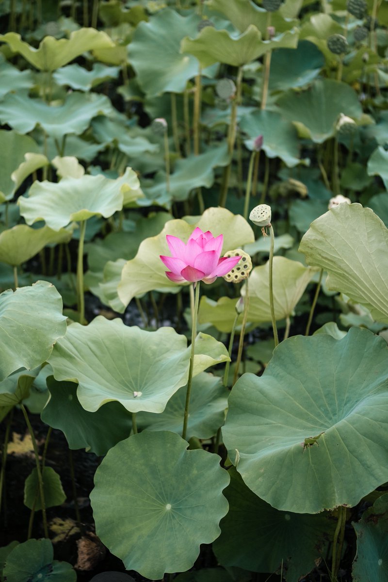 issa (@i55a0013) on Twitter photo 