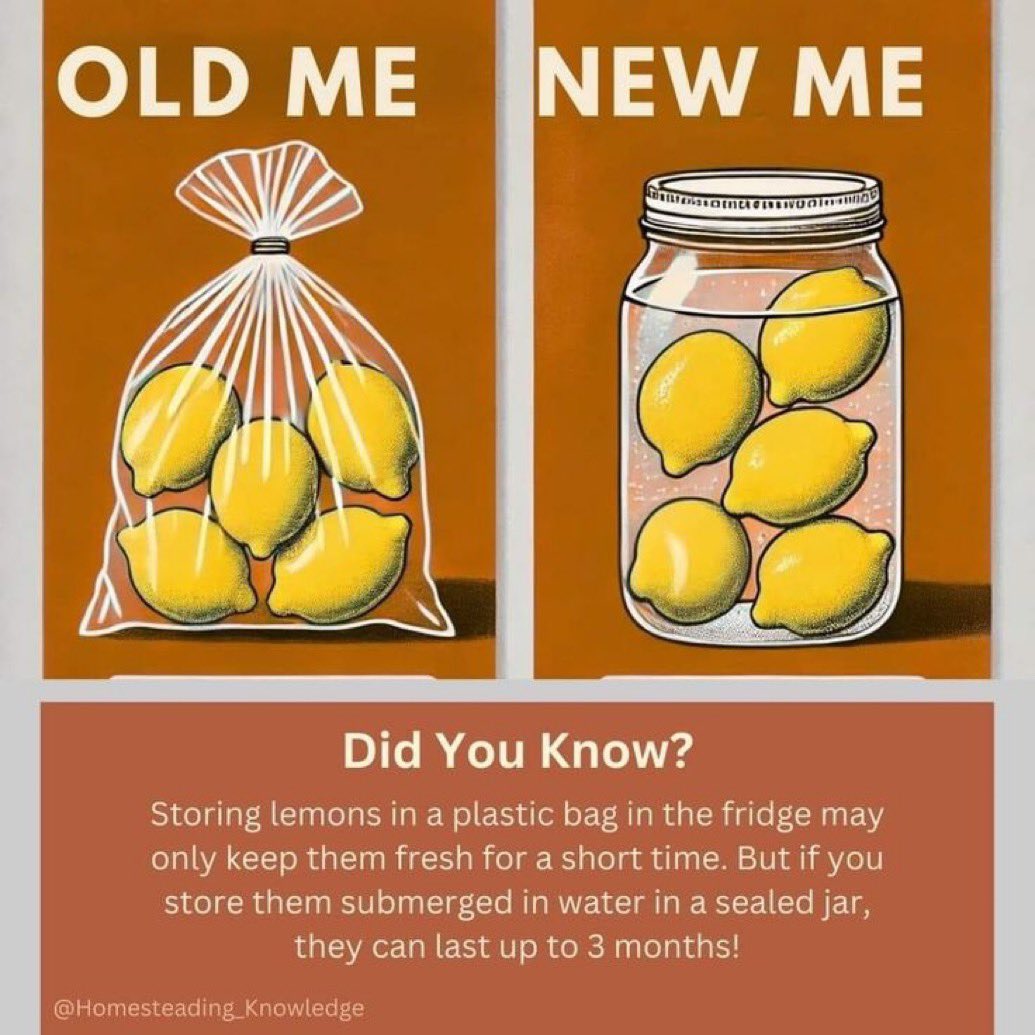 You can also preserve your lemons for a whole year in salt water inside a big glass jar in the fridge. Go Figure 13Love