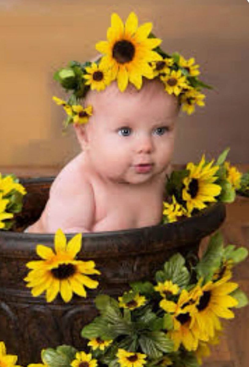 Aslında ben herkese susmam,
Sustuklarım bana özeldir.
Çünkü bilirim ki;
Sevmenin de sövmenin de,
Edepli olanı güzeldir...✅

#Günaydınlar

Keyifli Vakitler💛
#salı ☕🍫