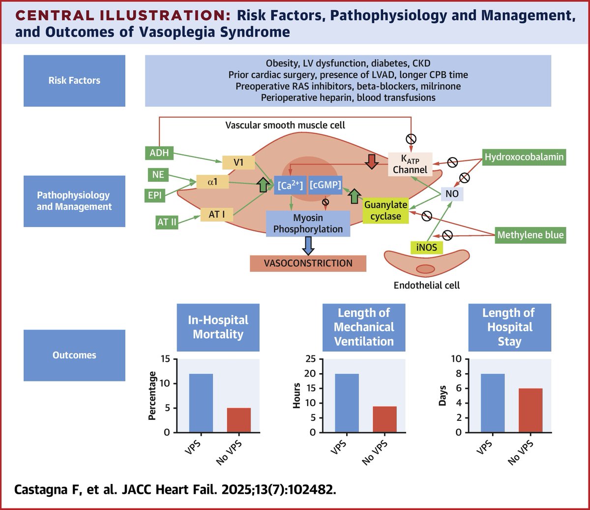 medntdj's tweet image. #VasoplegiaSyndrome is a serious complication after cardiac surgery with high morbidity & mortality. Pathophysiological pathways are known, but future research is required for a better definition & standardizing outcomes. bit.ly/4ltgrTd
@GivertzMichael
via @JACCJournals