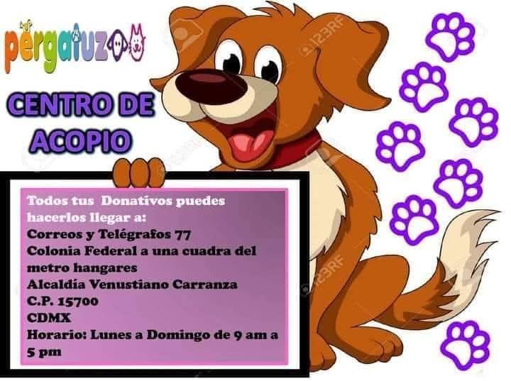 alberguepergatu's tweet photo. Para donativos en especie o $, todo va directo a los animales, hacemos lives y videos en Facebook y TikTok donde subimos todo lo donado,si gustan igual compartiremos más videos y fotos por aquí. 
Centro de Acopio: Correos y Telégrafos 77,col Federal,a una cuadra de Metro Hangares https://t.co/6gHOc7kkf3