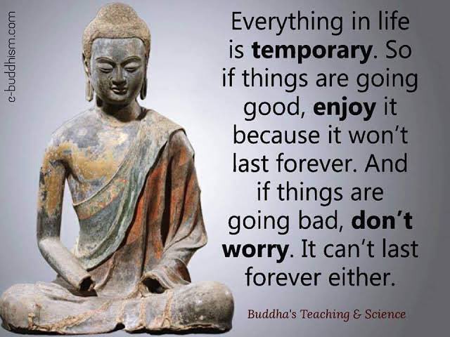 Pure8 (@pure8nature) on Twitter photo 