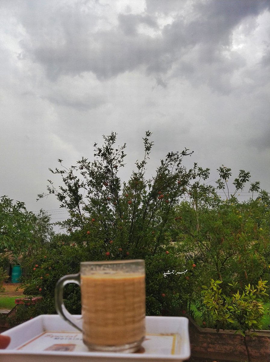 ساون کی بارش میں
بارشوں کے موسم میں
جب شجر نہاتے ہیں
پھول مسکراتے ہیں
مُرغ چہچہاتے ہیں
کھڑکیوں کے شیشوں پر
بوندیں جب تھرکتی ہیں
مل کے رقص کرتی ہیں
چائے کی پیالی سے 
جب دھواں سا اُٹھتا ہے
اک خیال پھر دل میں
شکل سی بناتا ہے
کوئی یاد آتا ہے
جس کو یاد کر کے پھر
دل اُداس ہوتا ہے
ساون