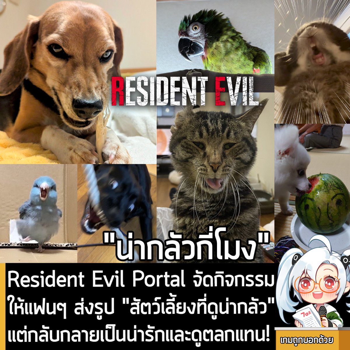 เกมถูกบอกด้วย tweet media