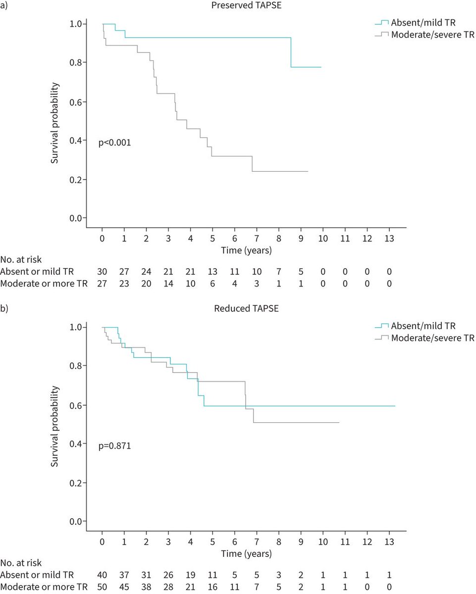 In incident patients with pulmonary arterial hypertension, assessment of severity of tricuspid regurgitation is critical to stratify the prognosis of patients who would be considered at low risk on the basis of normal values of TAPSE or of TAPSE/sPAP bit.ly/4heDv5E