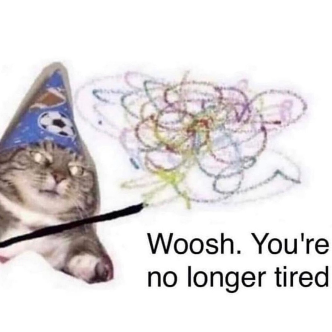 Punch Cat tweet media