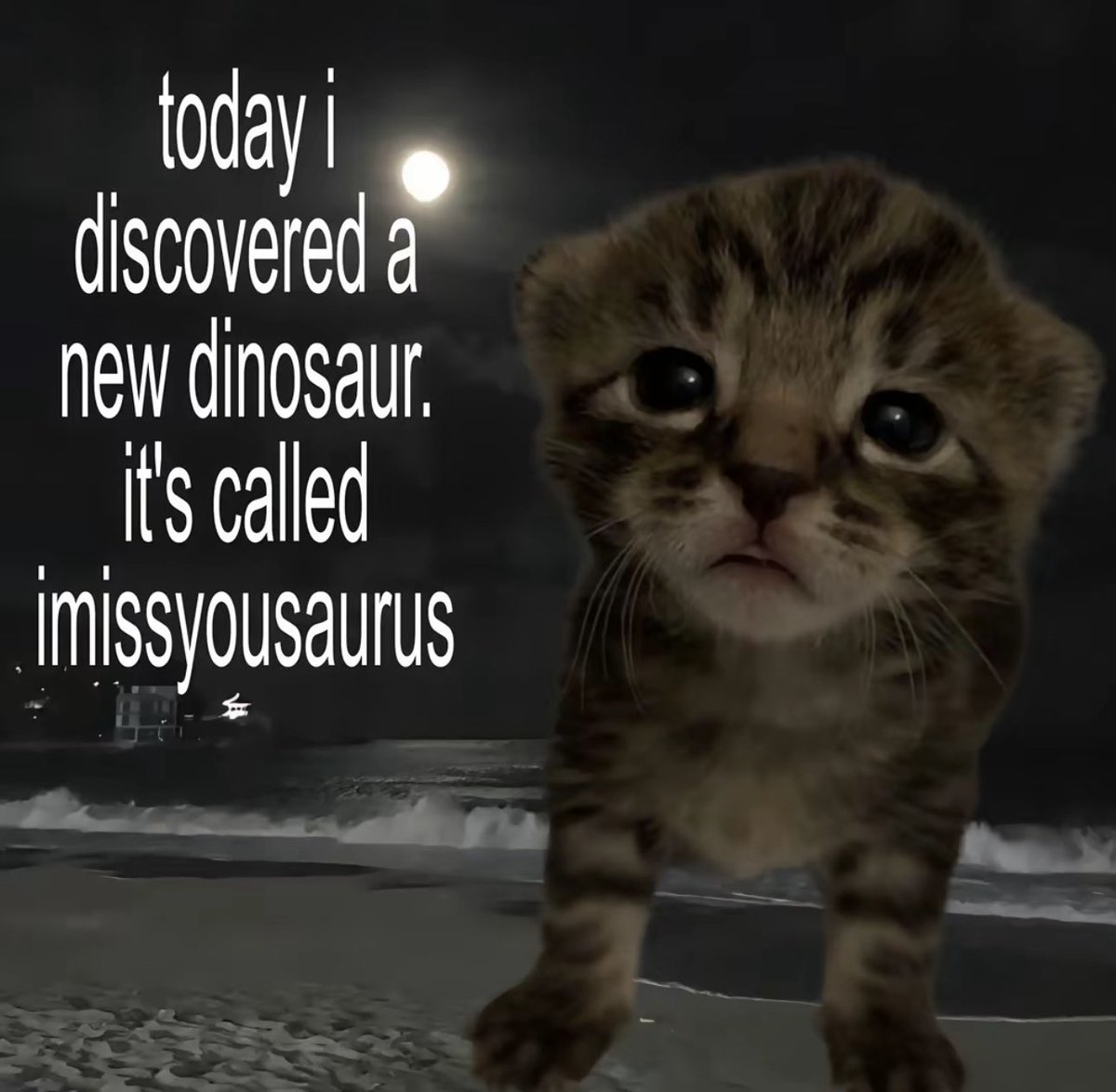 ♡ (@softheavens) on Twitter photo 