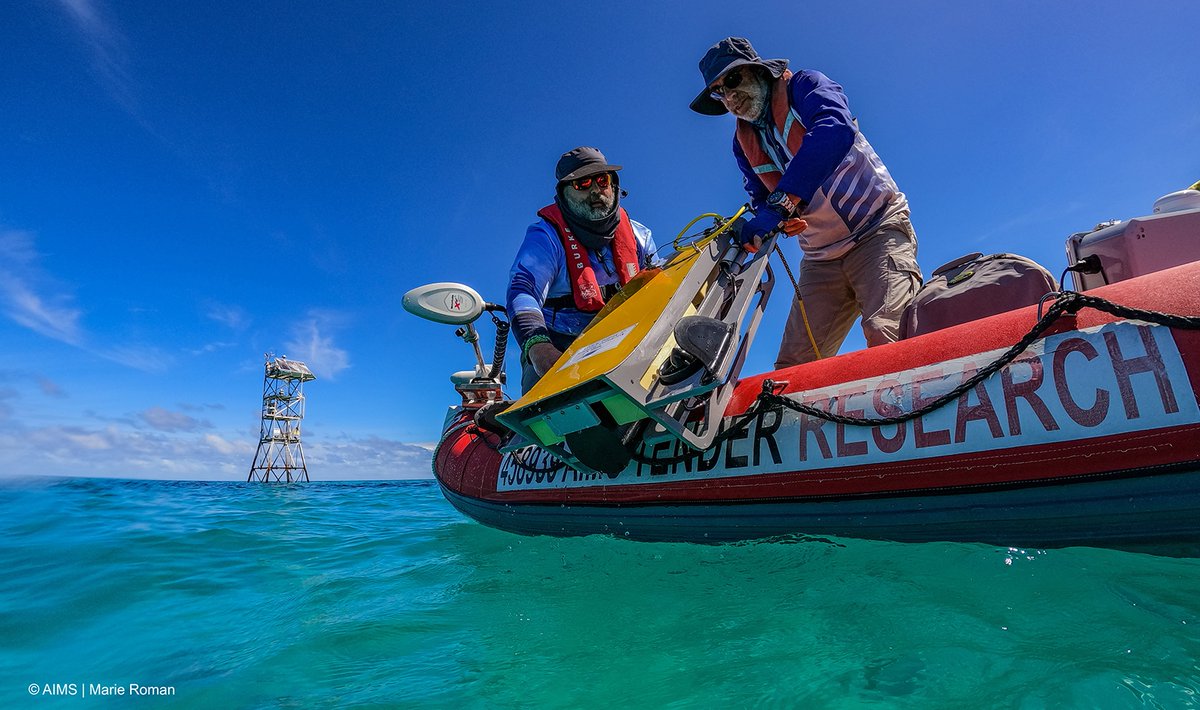AARNet's tweet image. #AIMS and @CSIRO are using @FileSender over #AARNet’s high-speed network to securely and efficiently share terabytes of survey data, advancing the detection of Crown-of-Thorns Starfish to help protect the #GreatBarrierReef

ow.ly/Jj5A50WpGhQ #BigData #CSIRO