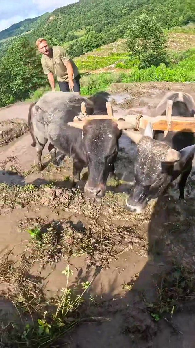 mwinNepal's tweet image. 