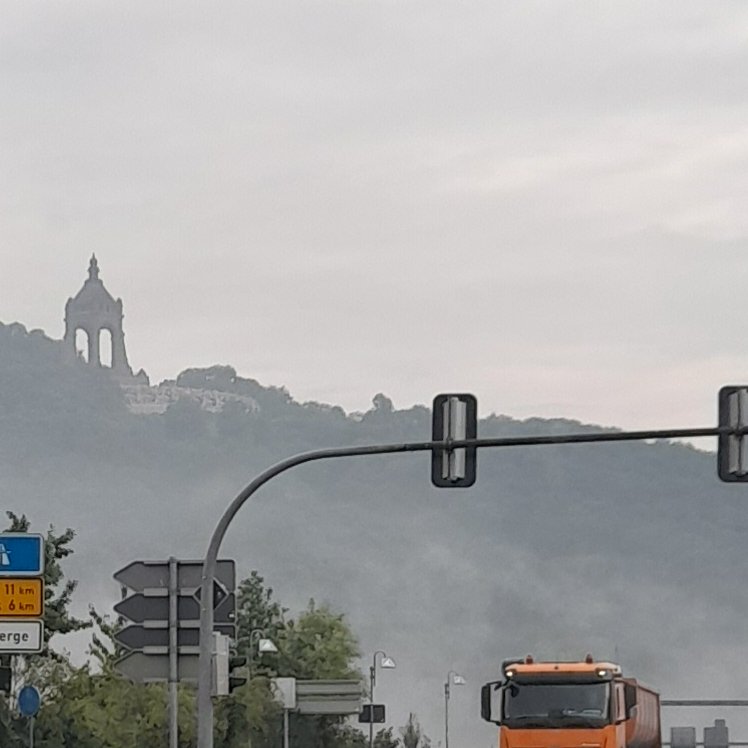 Der Kaiser im Nebel...😶‍🌫️...wo isser denn? 🧐🧐🤔